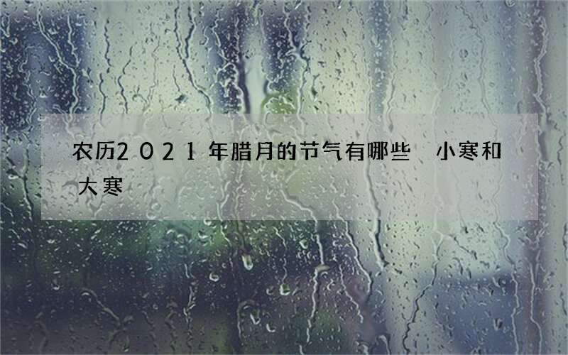 农历2021年腊月的节气有哪些 小寒和大寒